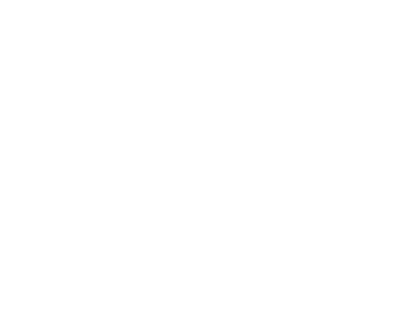 Chronos Cleaning